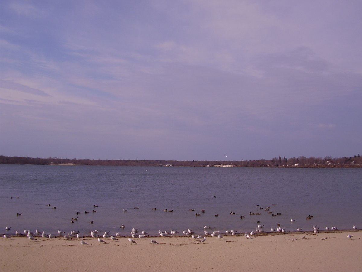 Lake Ronkonkoma, NY - Lake Ronkonkoma, New York - Wikipedia